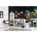 Fototapeta na flizelinie MS-5-0223 COLOURFUL MACAW