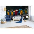Fototapeta na flizelinie MS-5-0223 COLOURFUL MACAW