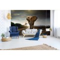 Fototapeta na flizelinie MS-5-0225 WALKING ELEPHANT
