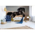 Fototapeta na flizelinie MS-5-0228 HORSE