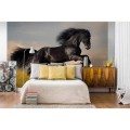 Fototapeta na flizelinie MS-5-0228 HORSE
