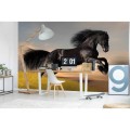 Fototapeta na flizelinie MS-5-0228 HORSE