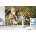 Fototapeta na flizelinie MS-5-0229 CHEETAH