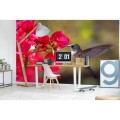 Fototapeta na flizelinie MS-5-0230 HUMMINGBIRD
