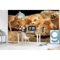 Fototapeta na flizelinie MS-5-0232 YOUNG LIONS