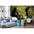 Fototapeta na flizelinie MS-5-0328 BICYCLE GREEN