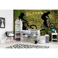 Fototapeta na flizelinie MS-5-0328 BICYCLE GREEN