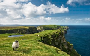 FotoTAPETA na flizelinie SHX9-040 Green Ireland