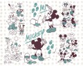 FOTOTAPETA DX7-026 Mickey and Friends
