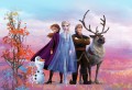 FOTOTAPETA 8-4103 Frozen Iconic