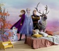 FOTOTAPETA 8-4103 Frozen Iconic