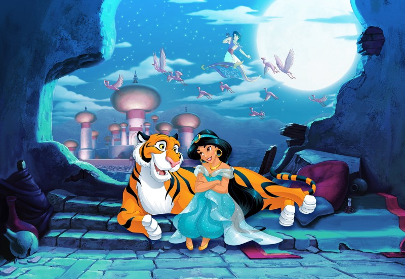 FOTOTAPETA 8-4115 Waiting for Aladdin