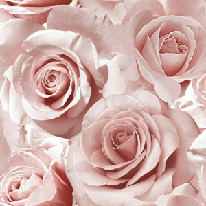 TAPETA J28733 / 315846 Róza z brokatem J287-33 Papierowa Wyprzedaż 2 rolki