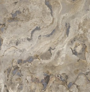 TAPETA 514612 RASCH Black Forest top trend 4