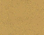 TAPETA 93585-3 VERSACE IV