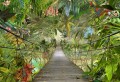 Fototapeta 8-977 WILD BRIDGE