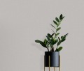 TAPETA 10215-10 FOCUS