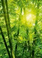 Fototapeta flizelinowa 5403-4 Bamboo Forest