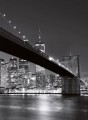 Fototapeta Flizelinowa 5409-4 Brooklyn Bridge NY