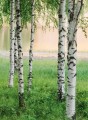 Fototapeta Flizelinowa 5424-4 Nordic Forest