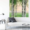 Fototapeta Flizelinowa 5424-4 Nordic Forest