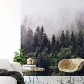 Fototapeta Flizelinowa 5433-4 Foggy Forest