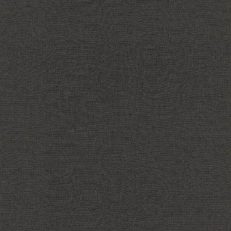 TAPETA 531398 SALSA
