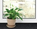 Okleina Meblowa 200-8297 D-C-FIX Black Granite szer 67,5 cm
