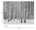 Mural Tapeta 38259-1 / 3825-91 Metropolitan Stories The Wall - Panel ścienny dekoracyjny