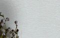 TAPETA 33321 BOTANICA