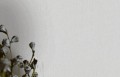 TAPETA 33324 BOTANICA
