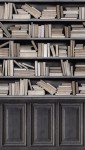 MURAL A36801 BOOKS - ONE ROLL ONE MOTIF