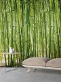MURAL A36901 BAMBOO - ONE ROLL ONE MOTIF