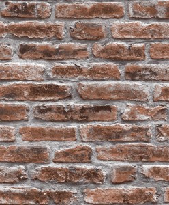 TAPETA 574820 / M548-10 TOP TREND 5