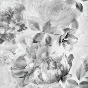 TAPETA A25809 / 328897 UGEPA