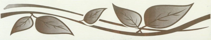 Border Bajpol 784 Pasek samoprzylepny szer. 5 cm