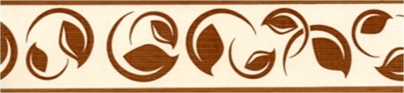 Border Bajpol 446 Pasek samoprzylepny szer. 5 cm