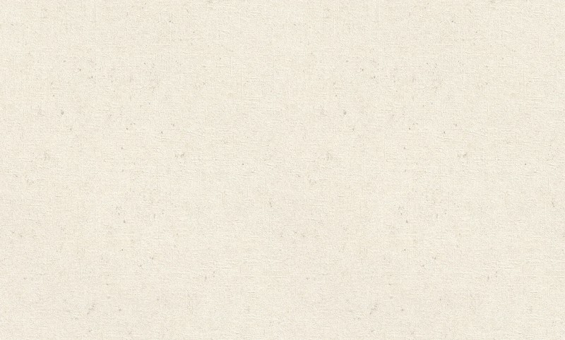 TAPETA 974201 CONCRETE XL