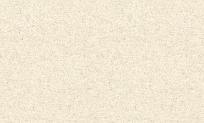 TAPETA 974218 CONCRETE XL