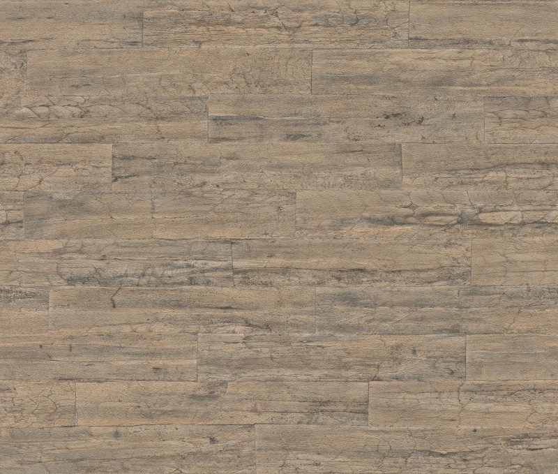 TAPETA 537031 CURIOSITY