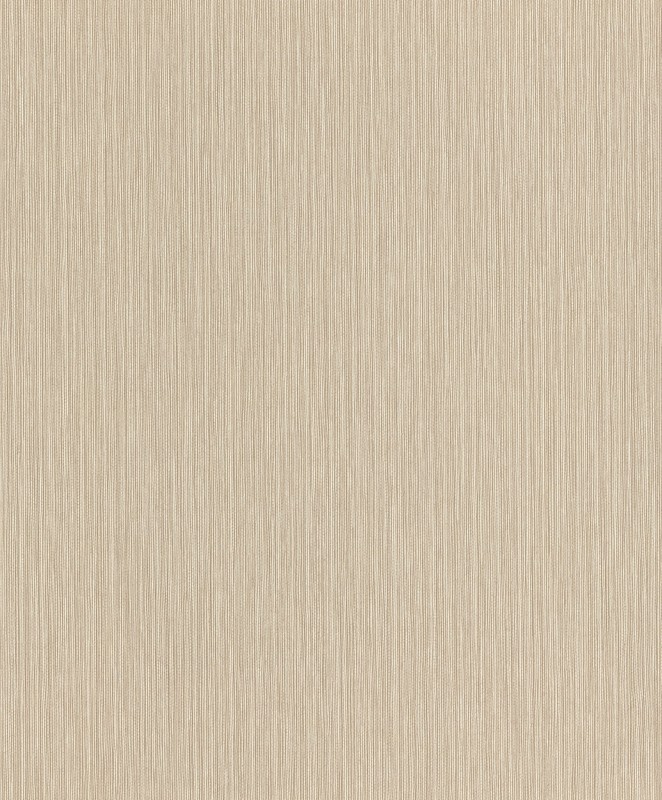 TAPETA 537635 CURIOSITY