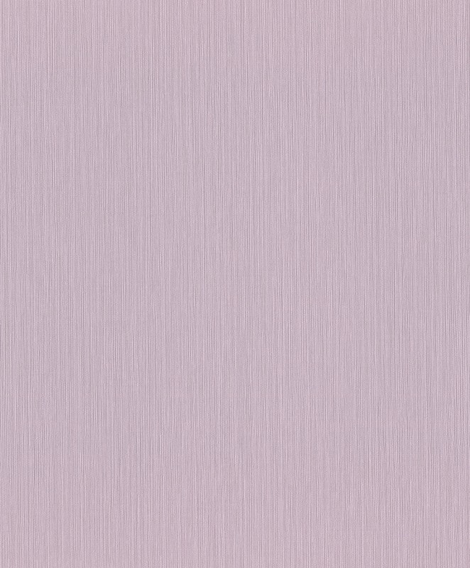 TAPETA 537642 CURIOSITY