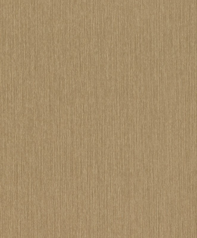 TAPETA 537703 CURIOSITY