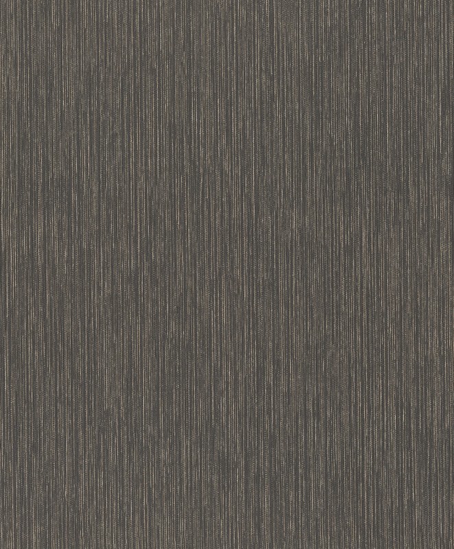 TAPETA 537741 CURIOSITY