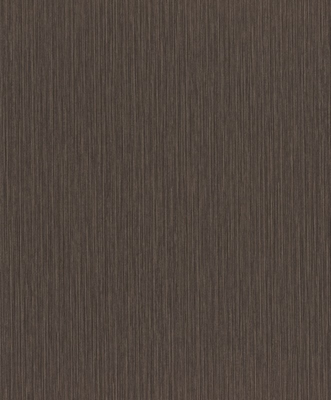 TAPETA 537758 CURIOSITY