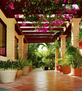 Fototapeta na flizelinie MS-3-0045 TERRACE