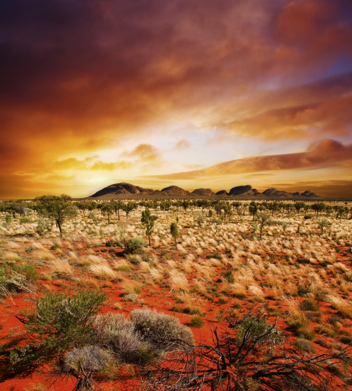 Fototapeta na flizelinie MS-3-0050 AUSTRALIAN LANDSCAPE