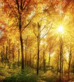 Fototapeta na flizelinie MS-3-0067 SUNNY FOREST