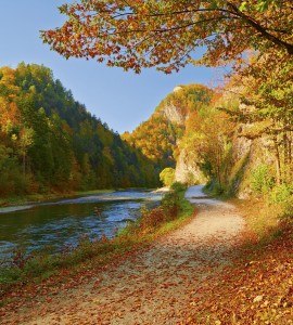 Fototapeta na flizelinie MS-3-0069 DUNAJEC RIVER