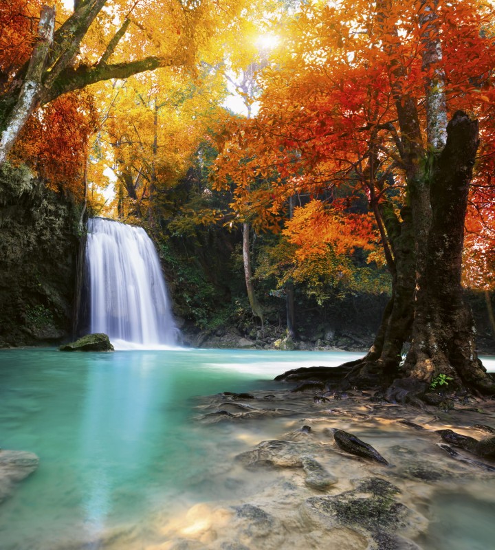 Fototapeta na flizelinie MS-3-0083 DEEP FORESTWATERFALL